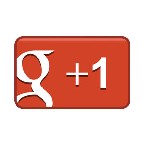Google +1 plug-in