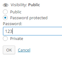 password protected WordPress menu